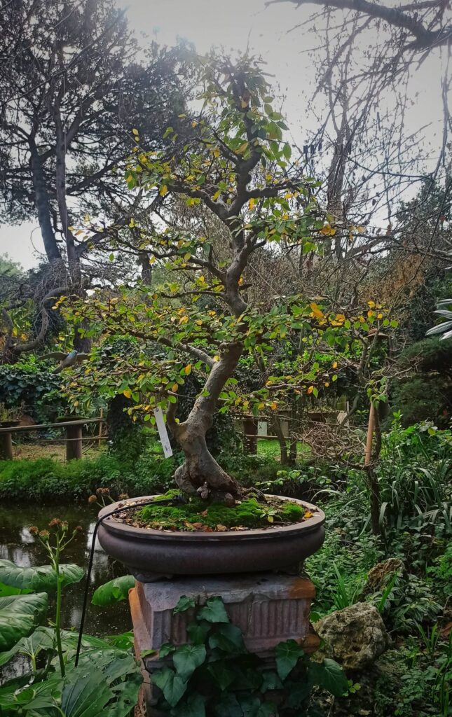 ambiente naturale